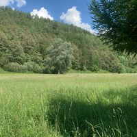 оригинальный звук