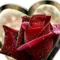 mihaela_mischa