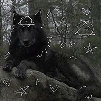 .leothewolf