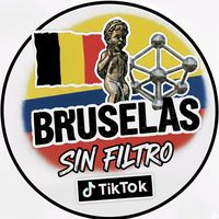 bruselasinfiltro
