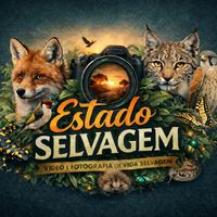 estadoselvagem