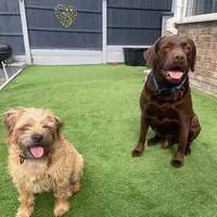 original sound - abbiemegan01