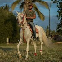 الصوت الأصلي