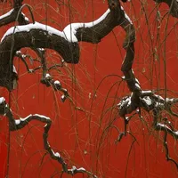 original sound - rootbleed