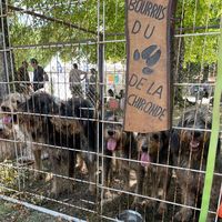 lesbourrusdelachironde