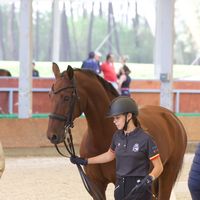 andrea.dressage