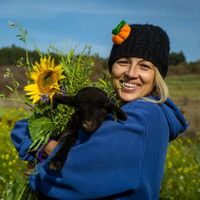 polina.ivanova.monsar