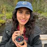 alkuperäinen ääni