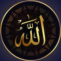 basiit.ali.786