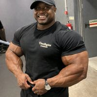 pitbullabacatudo1234