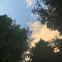 we.all.have.our.story