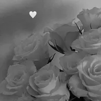 original sound - xo.spotify.songsxo