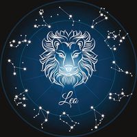 im_a_leo_13