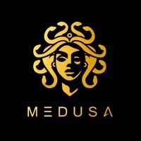 www.medusastudio.ro