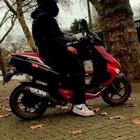 gino.47167
