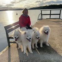 jaahelmenkennel