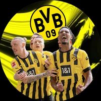 bvb_football_