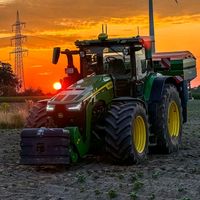 sunet original