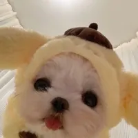 ความต่าง