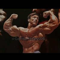 gorilla.fitness06
