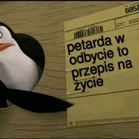 user213_7.5
