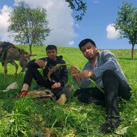 оригинальный звук