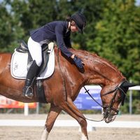 _.soulhorse.odin._