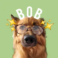 original sound - bob_ilcane