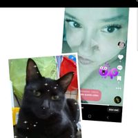 francescasorrent7