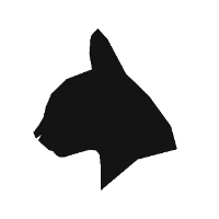 original sound - blackat.store