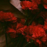 vent.angst1