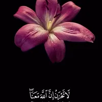 original sound - lovelynatureee