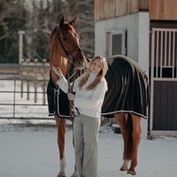 showjumpingmd