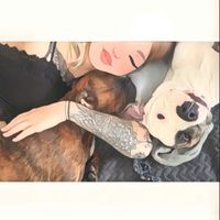 rina.and.the.dogs
