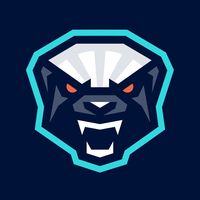honeybadgersnn