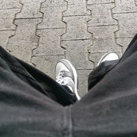 .leo_fy