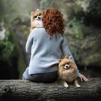 Bad Bunny Yo perreo sola Pompomilicious