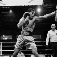 emilioalvoboxing