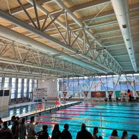 lenuotatrici_fallite