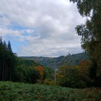 xvermiesch