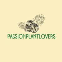 passionplantlovers