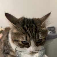 tinytoots19