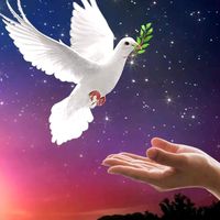 الصوت الأصلي