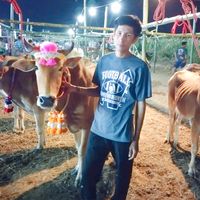 dy91tyx7mupy