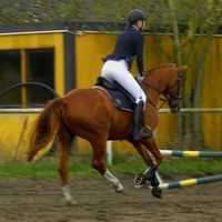 kaempferherzen_official