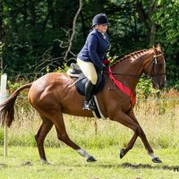 ambers_thoroughbreds