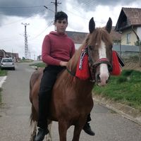 seba.2011