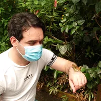 original sound - syriabook4