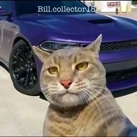 bill.collector18