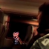 Pitbull Terrier by Die Antwoord